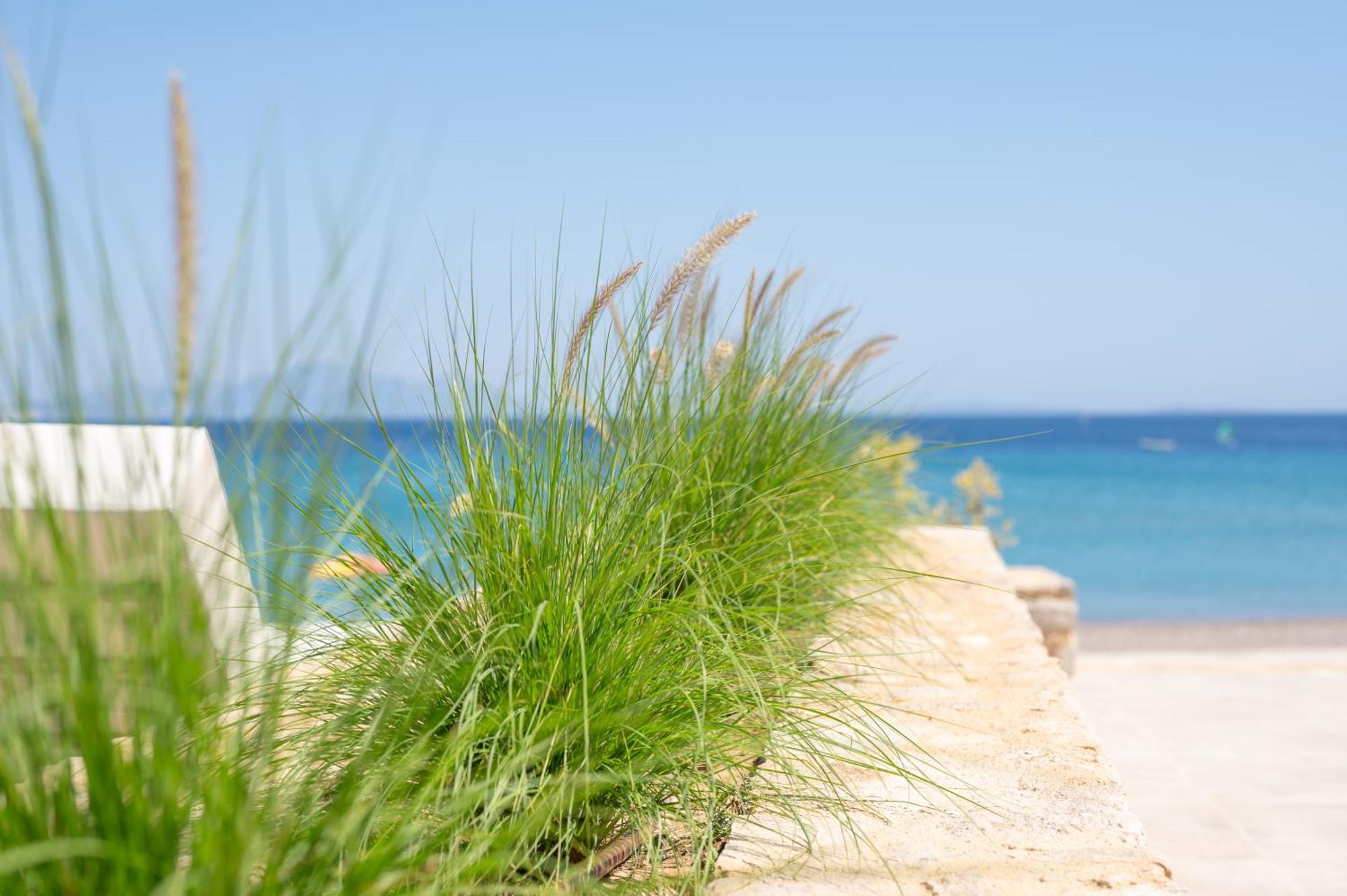 Nalu Luxury Suites Adults Only Kéfalos Zewnętrze zdjęcie
