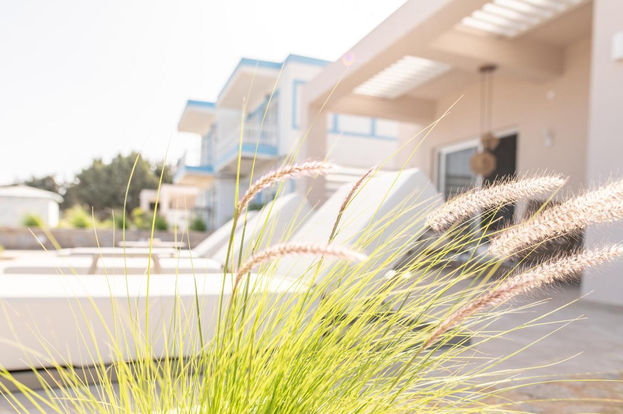 Nalu Luxury Suites Adults Only Kéfalos Zewnętrze zdjęcie